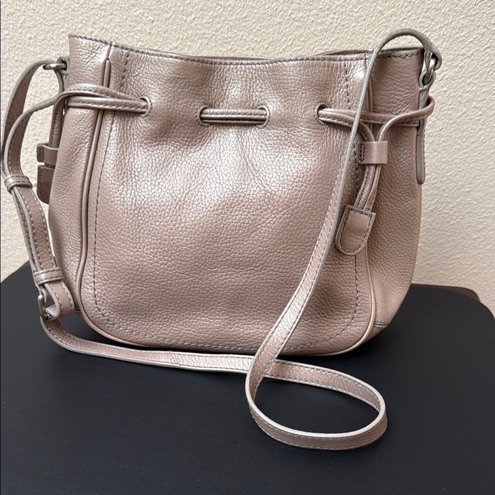 Cole Haan Metallic Bag